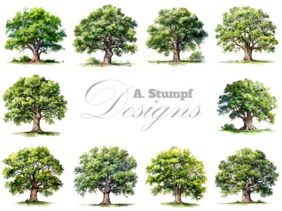 Download Oak Tree Watercolor Clipart Set - Color Collection